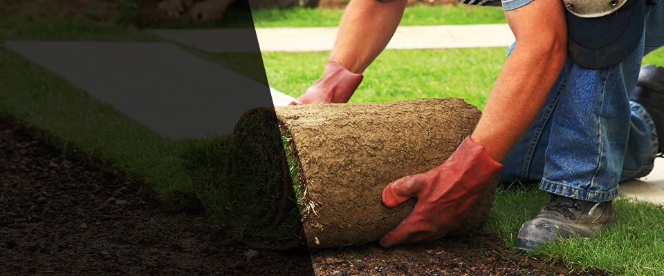Savannah Landscapers
